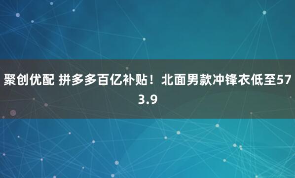 聚创优配 拼多多百亿补贴！北面男款冲锋衣低至573.9